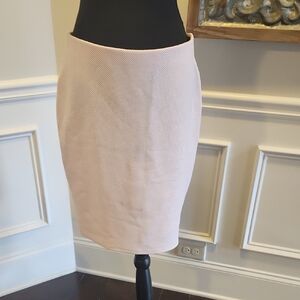 Elegant Pink Women's Skirt